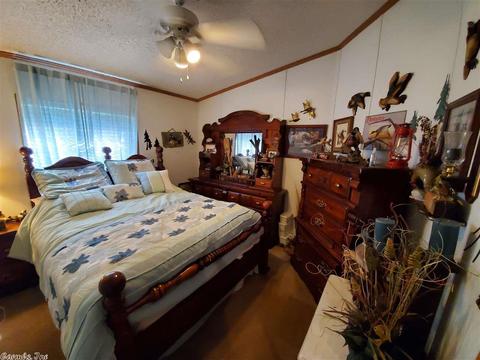 3510 Lowman, Pine Bluff, AR 71603 photo 9