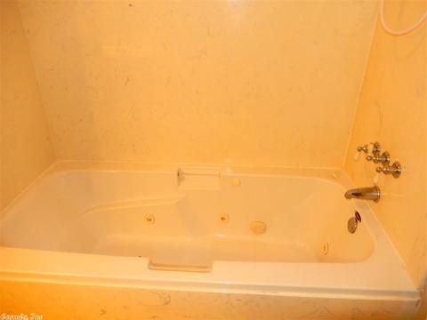 67 Pine Valley Dr, Conway, AR 72034 photo 9