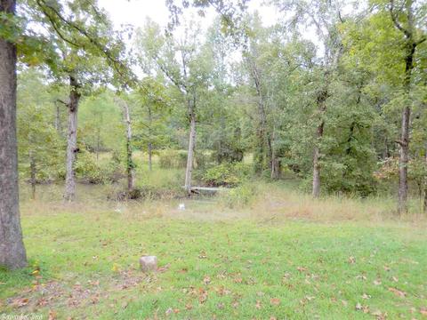 67 Pine Valley Dr, Conway, AR 72034 photo 29