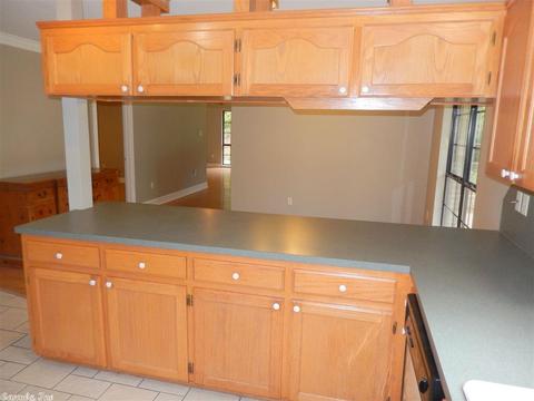 67 Pine Valley Dr, Conway, AR 72034 photo 5