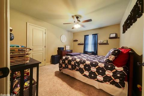 20 Sierra Dr, Austin, AR 72007 photo 30