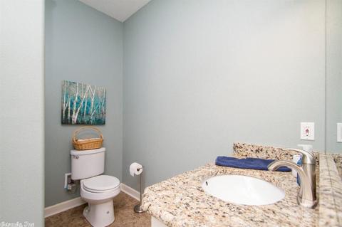 1400 Big Ridge Dr, Alexander, AR 72002 photo 36