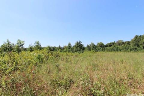 960 Doy B Rd, Conway, AR 72032 photo 14