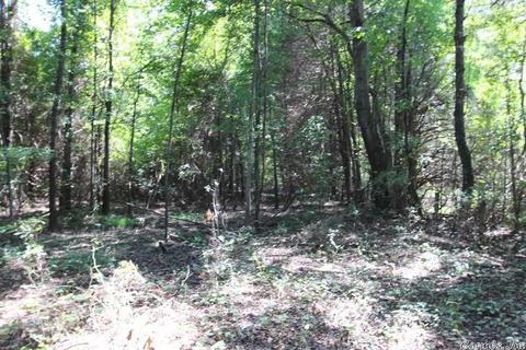 960 Doy B Rd, Conway, AR 72032 photo 29