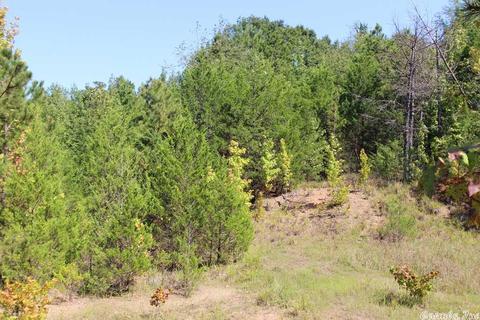 960 Doy B Rd, Conway, AR 72032 photo 35