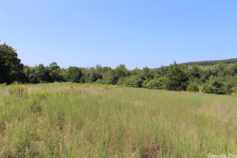 960 Doy B Rd, Conway, AR 72032 photo 18
