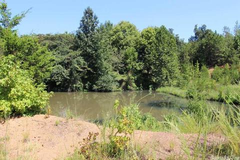 960 Doy B Rd, Conway, AR 72032 photo 34