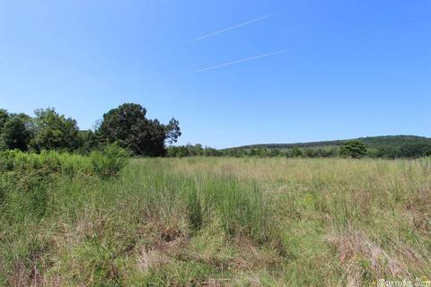 940 Doy B Rd, Conway, AR 72032 photo 3