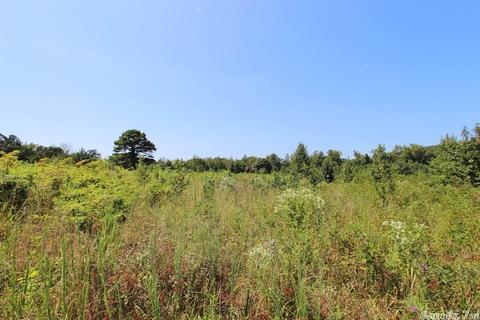 940 Doy B Rd, Conway, AR 72032 photo 10