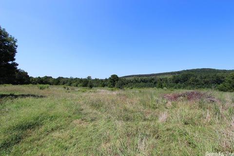 940 Doy B Rd, Conway, AR 72032 photo 6