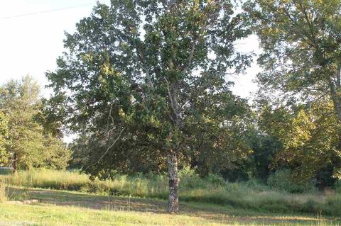 42 Aaron Loop, Vilonia, AR 72173 photo 12