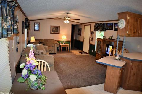 31 Clearwater Ln, Mammoth Spring, AR 72554 photo 8