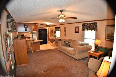 31 Clearwater Ln, Mammoth Spring, AR 72554 photo 5