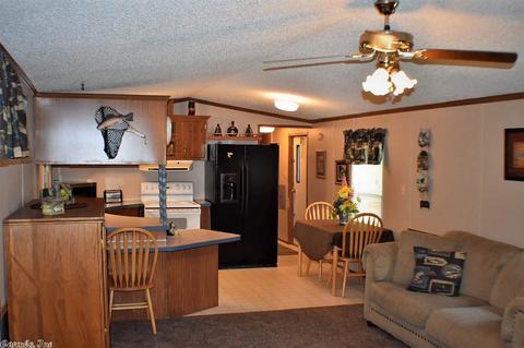 31 Clearwater Ln, Mammoth Spring, AR 72554 photo 6