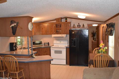 31 Clearwater Ln, Mammoth Spring, AR 72554 photo 7