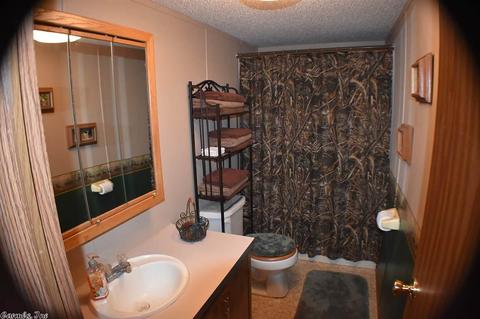31 Clearwater Ln, Mammoth Spring, AR 72554 photo 10