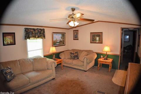 31 Clearwater Ln, Mammoth Spring, AR 72554 photo 9