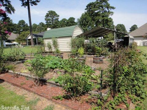 163 Pinewood, Beebe, AR 72012 photo 8