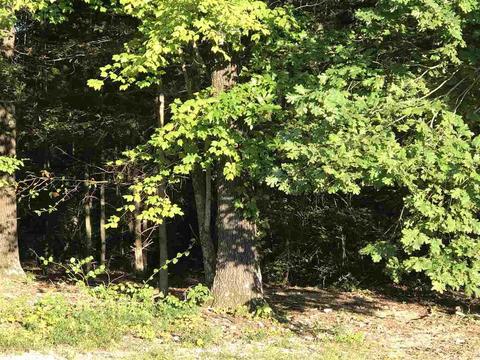 2074 E Highway 14, Harriet, AR 72639 photo 21