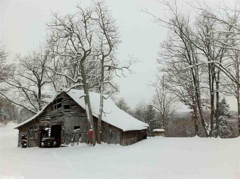2074 E Highway 14, Harriet, AR 72639 photo 23