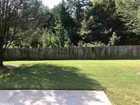 2545 Grummer Ln, Conway, AR 72034 photo 37