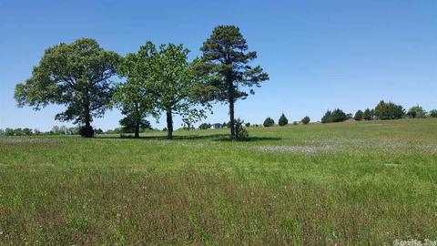 779 Blackjack Mtn Rd, Romance, AR 72143 photo 3