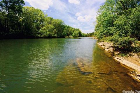 279 Bobkat Rdg, Oden, AR 71961 photo 4