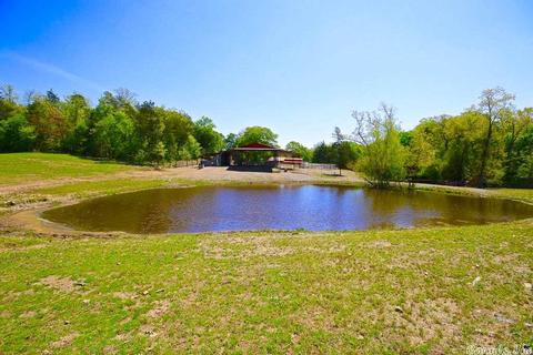 279 Bobkat Rdg, Oden, AR 71961 photo 20