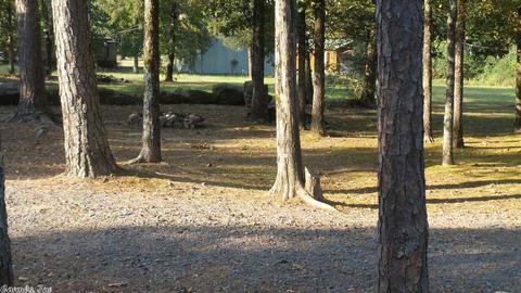 153 Piney Ln, Higden, AR 72067 photo 6