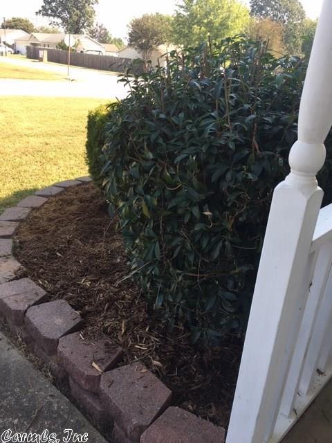 13213 Meadowview, Alexander, AR 72002 photo 6