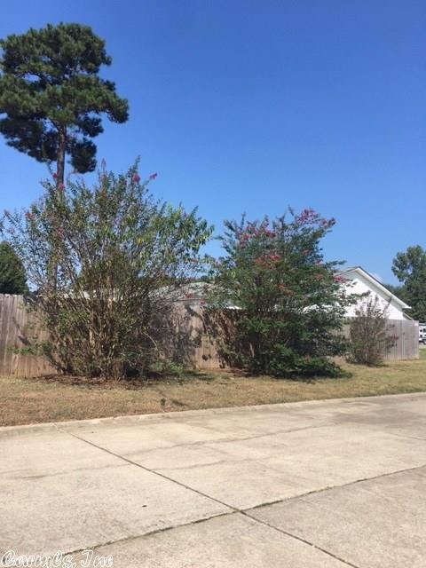 13213 Meadowview, Alexander, AR 72002 photo 37