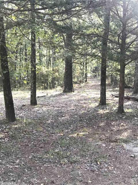 174 Penny Rd, Higden, AR 72067 photo 3