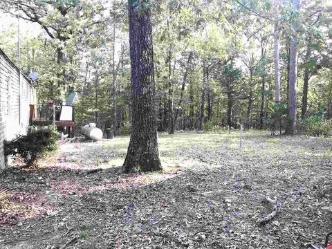 174 Penny Rd, Higden, AR 72067 photo 6