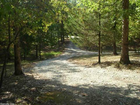 74 Travis, Mount Ida, AR 71957 photo 23