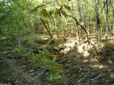 74 Travis, Mount Ida, AR 71957 photo 31