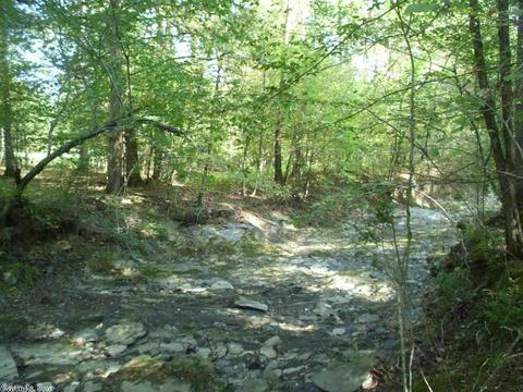 74 Travis, Mount Ida, AR 71957 photo 29