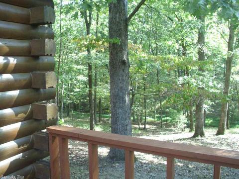74 Travis, Mount Ida, AR 71957 photo 34