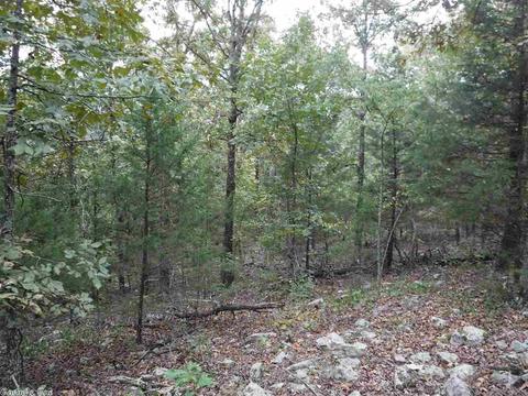 16 Skinner Hill Rd, Conway, AR 72032 photo 13