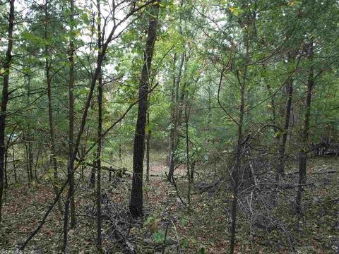 16 Skinner Hill Rd, Conway, AR 72032 photo 15