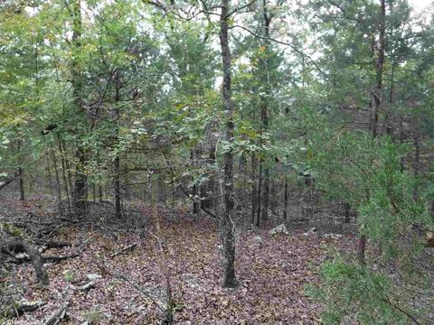 16 Skinner Hill Rd, Conway, AR 72032 photo 10