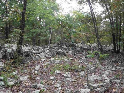 16 Skinner Hill Rd, Conway, AR 72032 photo 14