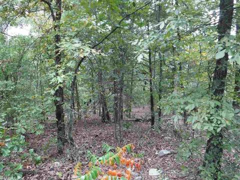 16 Skinner Hill Rd, Conway, AR 72032 photo 7