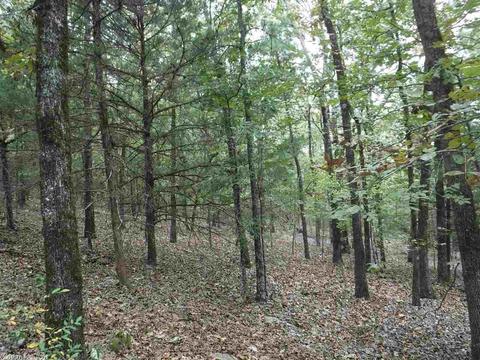 16 Skinner Hill Rd, Conway, AR 72032 photo 12