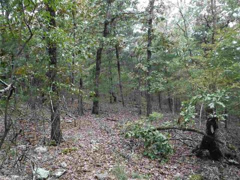 16 Skinner Hill Rd, Conway, AR 72032 photo 9
