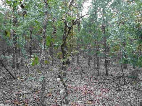 16 Skinner Hill Rd, Conway, AR 72032 photo 11