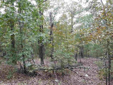 16 Skinner Hill Rd, Conway, AR 72032 photo 8
