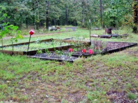 168 Thunder Lane Mena Arkansas, Mena, AR 71953 photo 7