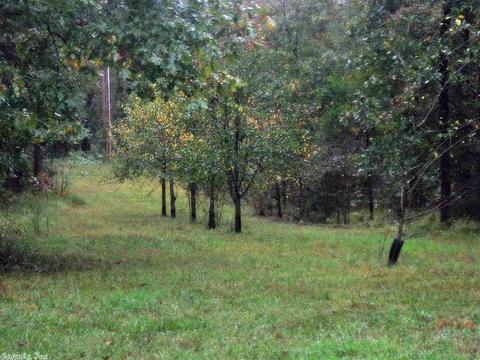 168 Thunder Lane Mena Arkansas, Mena, AR 71953 photo 6