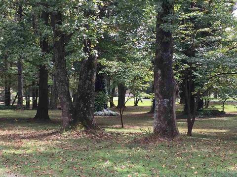 7 Pine Tree Rd, Cabot, AR 72023 photo 30