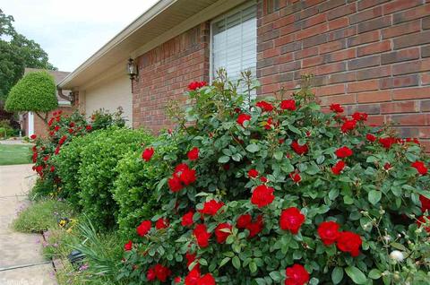 2522 Laurel Dr, Benton, AR 72015 photo 25